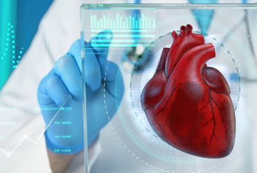 doctor viewing heart image on glass